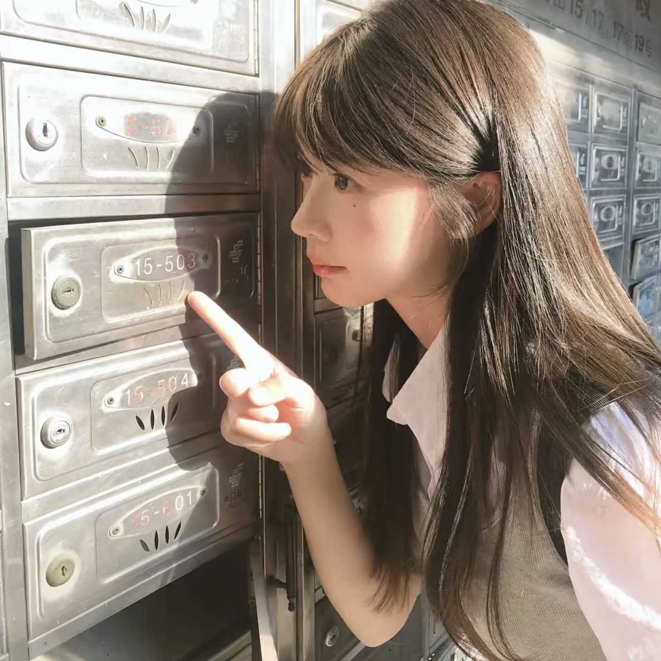 King Charles Cavalier